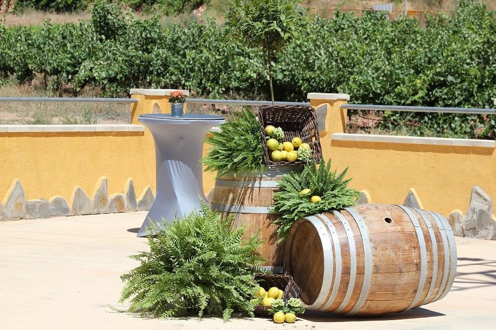 Atalaya Pansiyon Bogarra Dış mekan fotoğraf