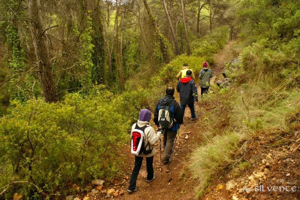 Atalaya Pansiyon Bogarra Dış mekan fotoğraf